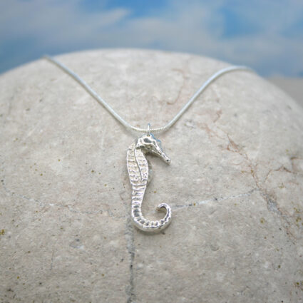 Silver Seahorse