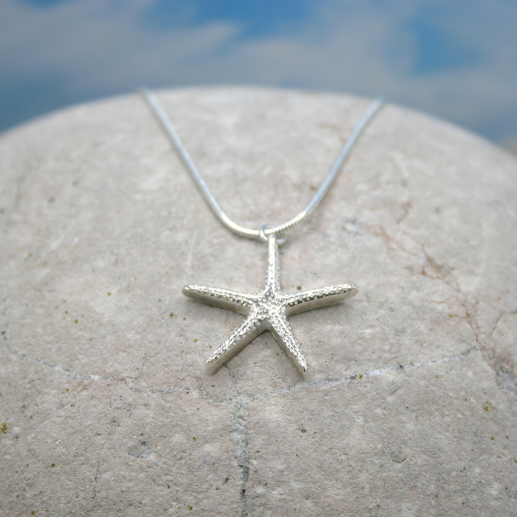 Beach Combing - Silver Star Fish